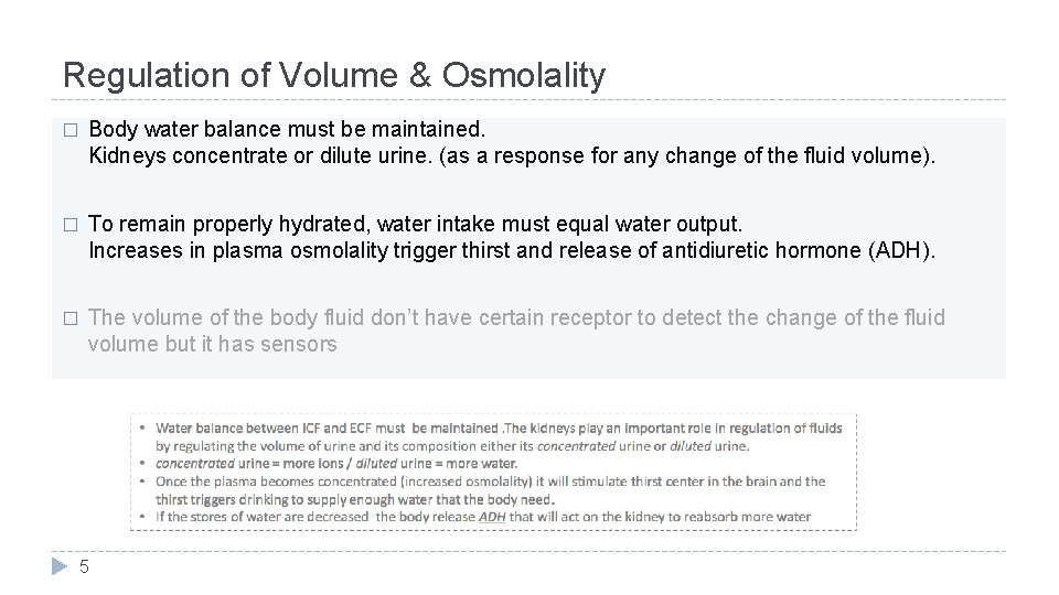 Regulation of Volume & Osmolality � Body water balance must be maintained. Kidneys concentrate