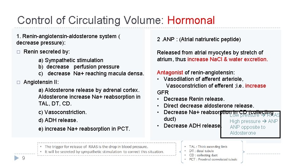 Control of Circulating Volume: Hormonal 1. Renin-angiotensin-aldosterone system ( decrease pressure): � Renin secreted