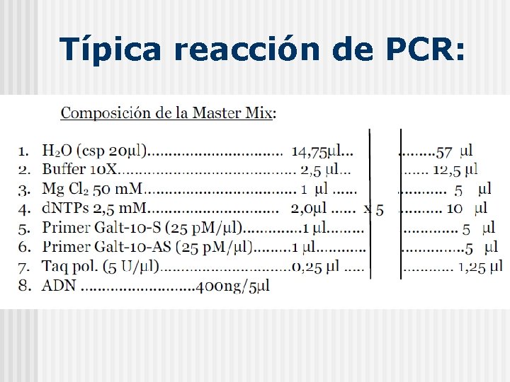 Típica reacción de PCR: 1. El 
