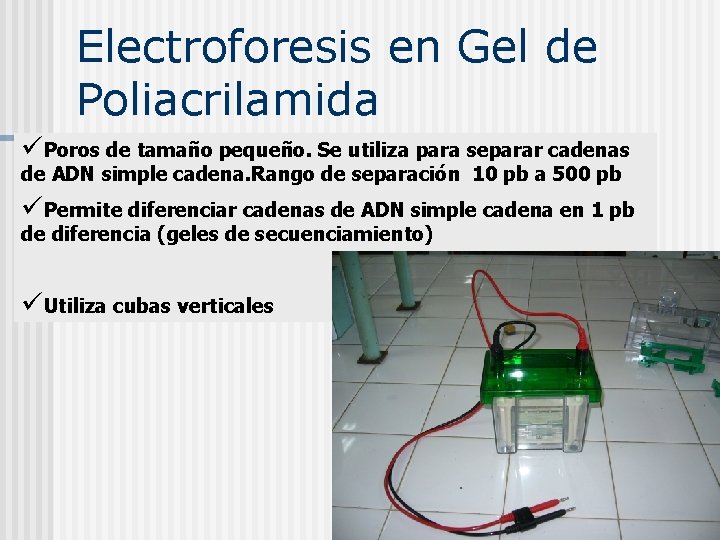 Electroforesis en Gel de Poliacrilamida üPoros de tamaño pequeño. Se utiliza para separar cadenas