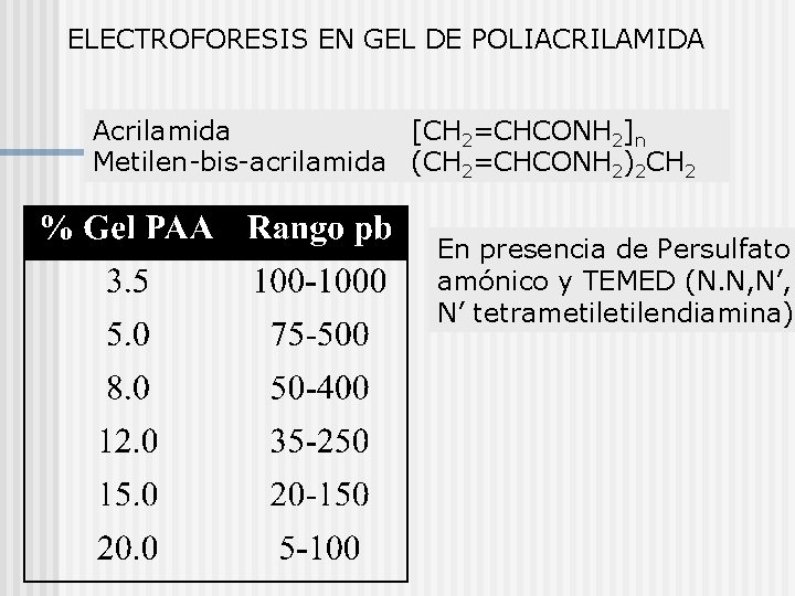 ELECTROFORESIS EN GEL DE POLIACRILAMIDA Acrilamida [CH 2=CHCONH 2]n Metilen-bis-acrilamida (CH 2=CHCONH 2)2 CH