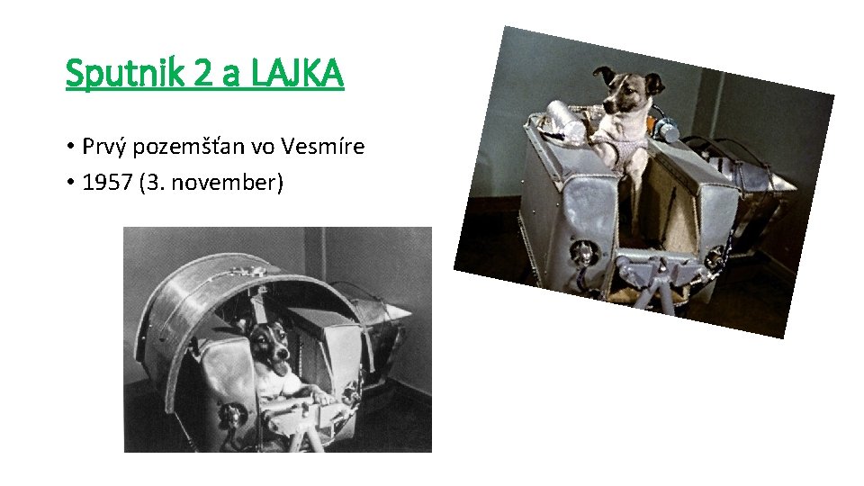 Sputnik 2 a LAJKA • Prvý pozemšťan vo Vesmíre • 1957 (3. november) 