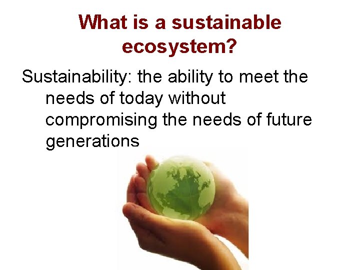 What is a sustainable ecosystem? Sustainability: the ability to meet the needs of today