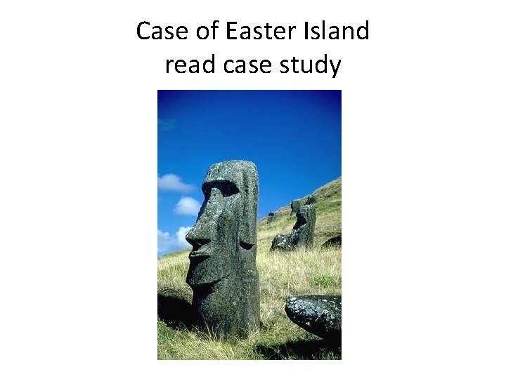 Case of Easter Island read case study 