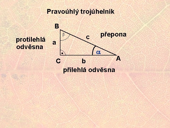 Pravoúhlý trojúhelník B protilehlá odvěsna b a c přepona a C A b přilehlá
