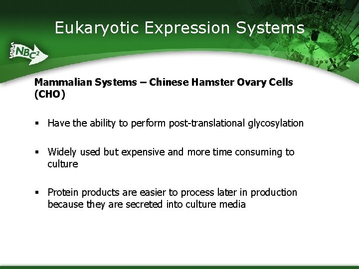 Eukaryotic Expression Systems Mammalian Systems – Chinese Hamster Ovary Cells (CHO) § Have the