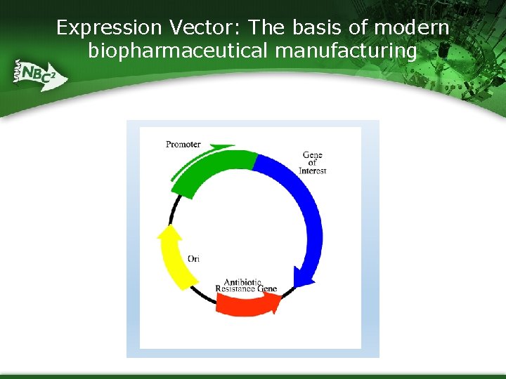 Expression Vector: The basis of modern biopharmaceutical manufacturing 