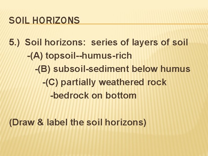 SOIL HORIZONS 5. ) Soil horizons: series of layers of soil -(A) topsoil--humus-rich -(B)