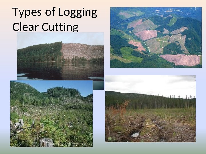 Types of Logging Clear Cutting 