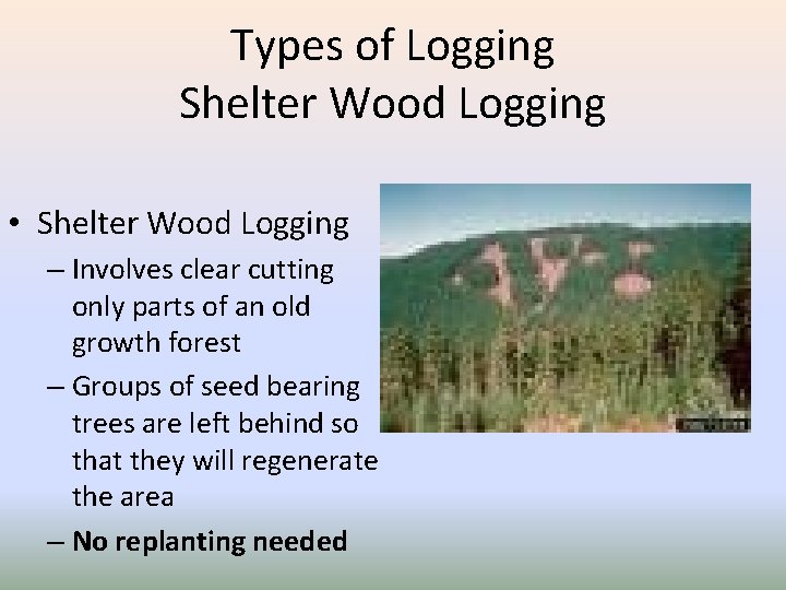 Types of Logging Shelter Wood Logging • Shelter Wood Logging – Involves clear cutting