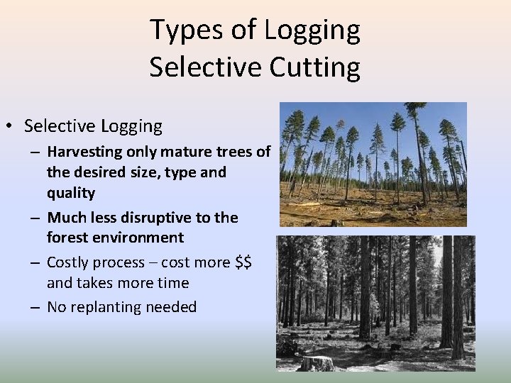 Types of Logging Selective Cutting • Selective Logging – Harvesting only mature trees of