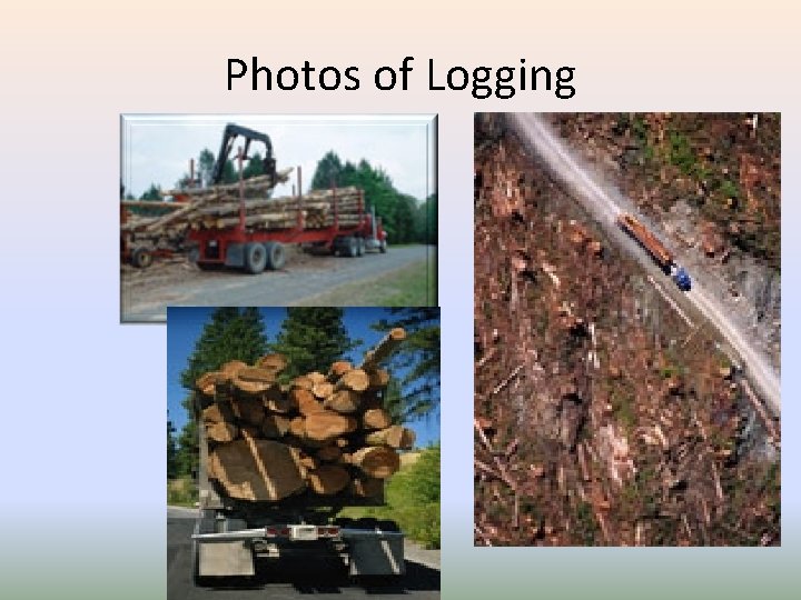 Photos of Logging 