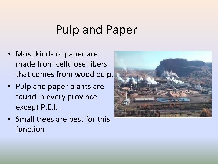 Pulp and Paper • Most kinds of paper are made from cellulose fibers that