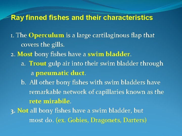 Ray finned fishes and their characteristics 1. The Operculum is a large cartilaginous flap