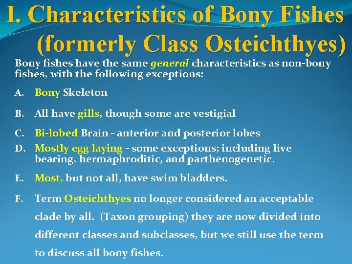 I. Characteristics of Bony Fishes (formerly Class Osteichthyes) Bony fishes have the same general
