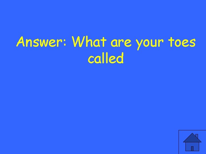 Answer: What are your toes called 