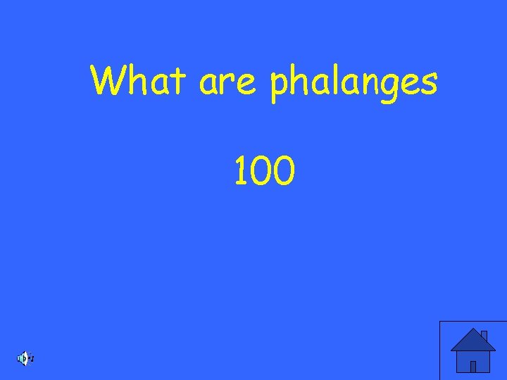 What are phalanges 100 