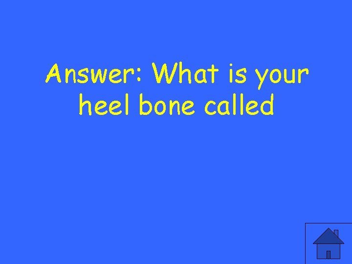 Answer: What is your heel bone called 