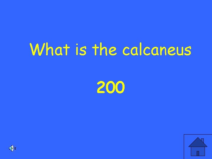 What is the calcaneus 200 