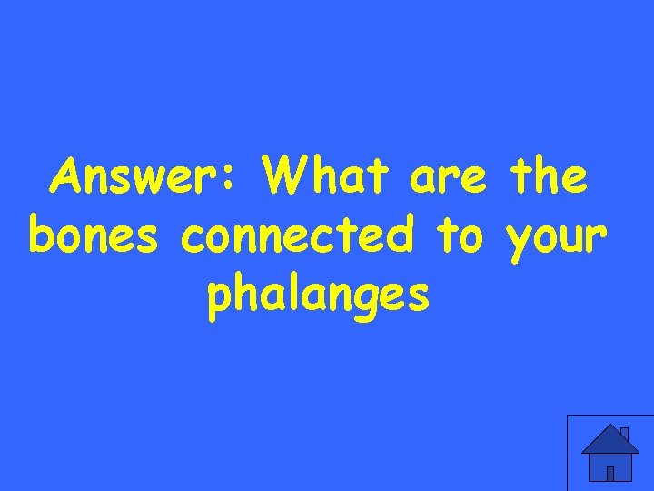 Answer: What are the bones connected to your phalanges 