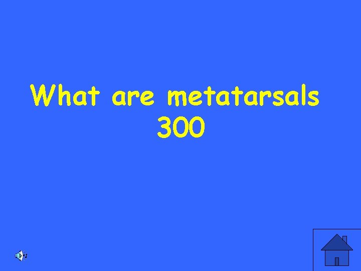 What are metatarsals 300 