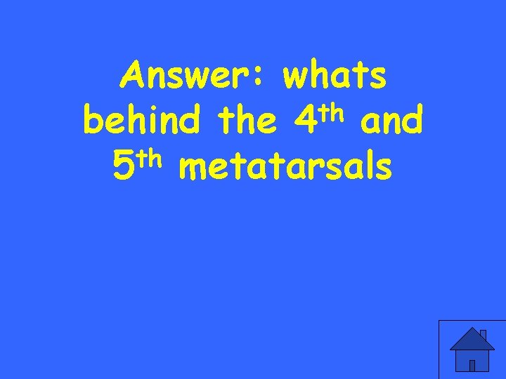 Answer: whats th behind the 4 and th 5 metatarsals 