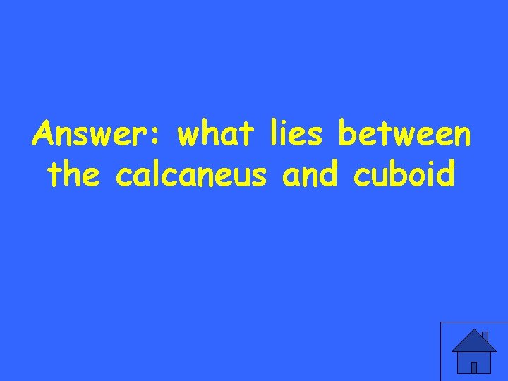 Answer: what lies between the calcaneus and cuboid 