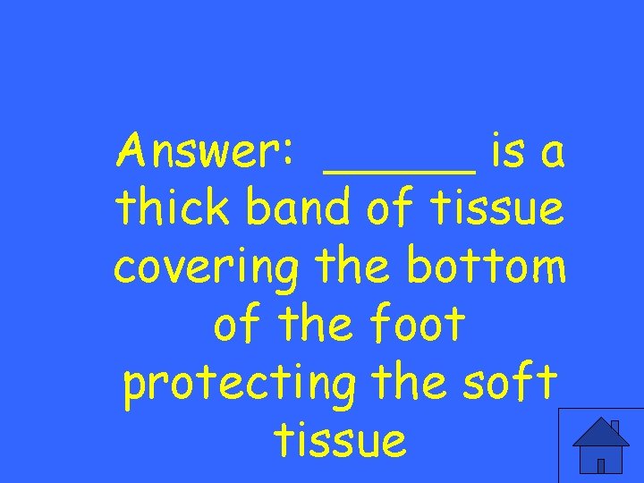 Answer: _____ is a thick band of tissue covering the bottom of the foot