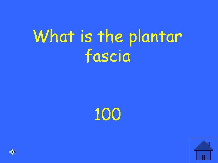 What is the plantar fascia 100 