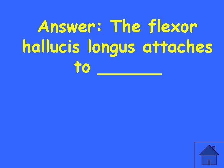 Answer: The flexor hallucis longus attaches to ______ 