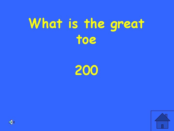 What is the great toe 200 