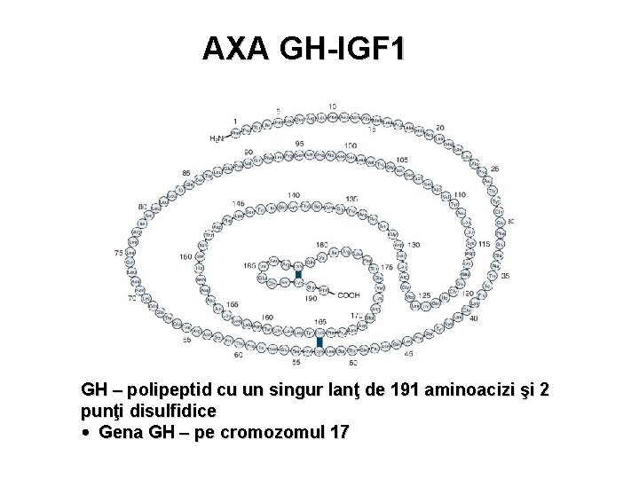 AXA GH-IGF 1 GH – polipeptid cu un singur lanţ de 191 aminoacizi şi