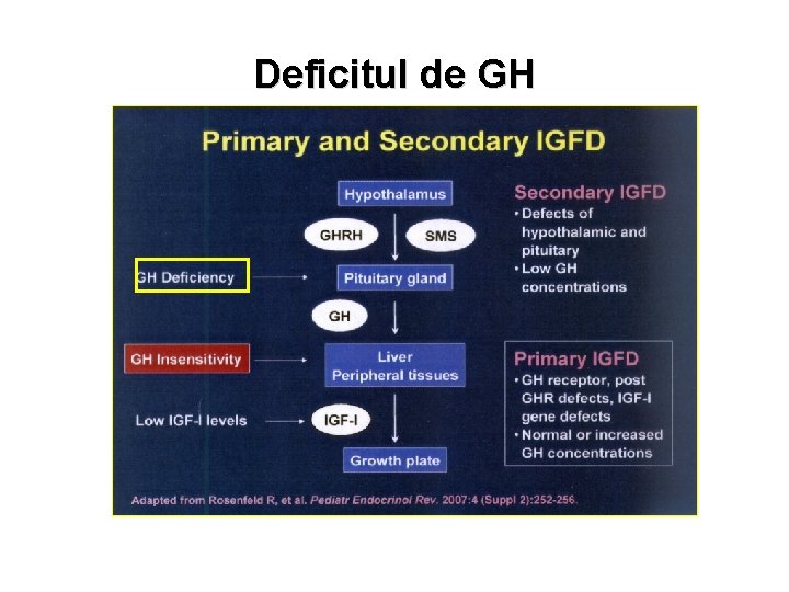 Deficitul de GH 