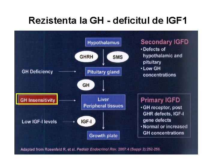 Rezistenta la GH - deficitul de IGF 1 