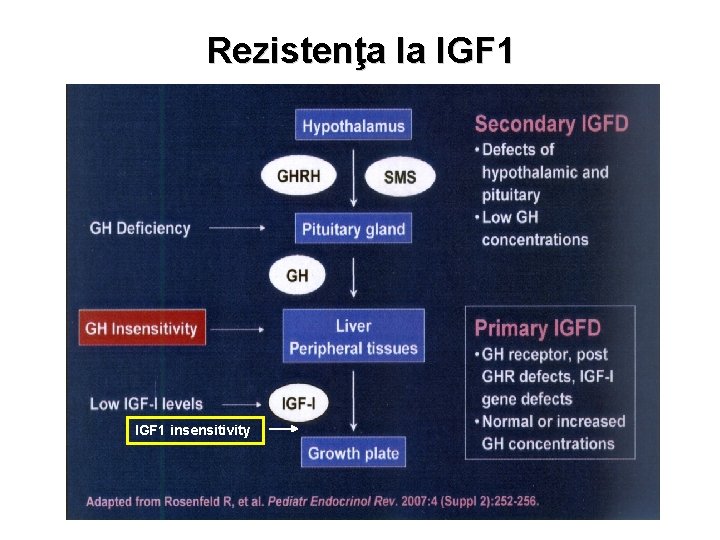 Rezistenţa la IGF 1 insensitivity 