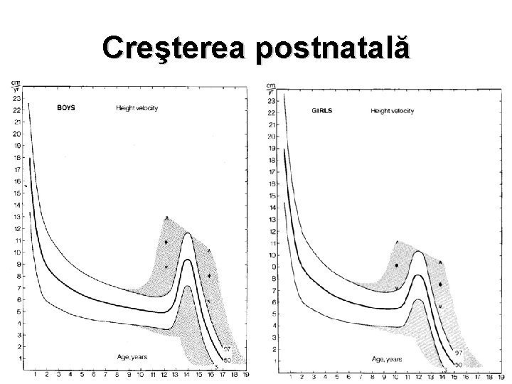 Creşterea postnatală 