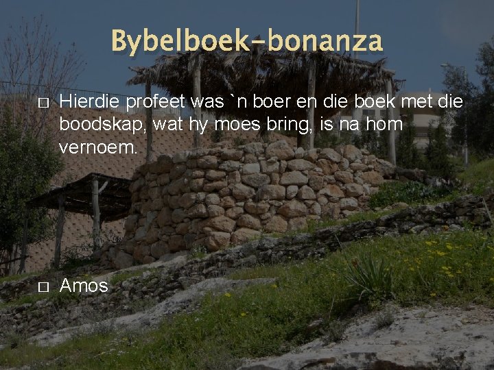 Bybelboek-bonanza � Hierdie profeet was `n boer en die boek met die boodskap, wat