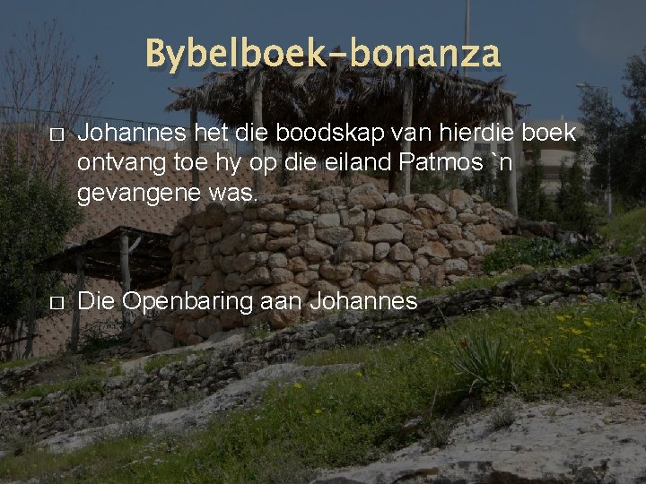 Bybelboek-bonanza � Johannes het die boodskap van hierdie boek ontvang toe hy op die