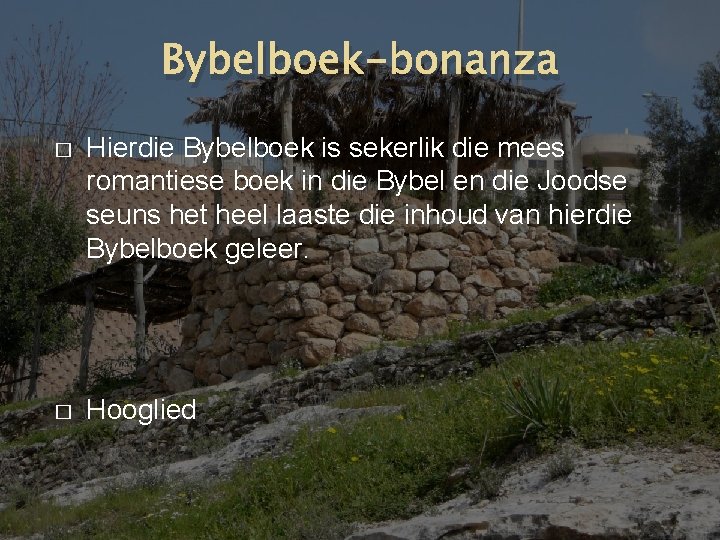 Bybelboek-bonanza � Hierdie Bybelboek is sekerlik die mees romantiese boek in die Bybel en