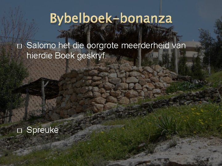 Bybelboek-bonanza � Salomo het die oorgrote meerderheid van hierdie Boek geskryf. � Spreuke 