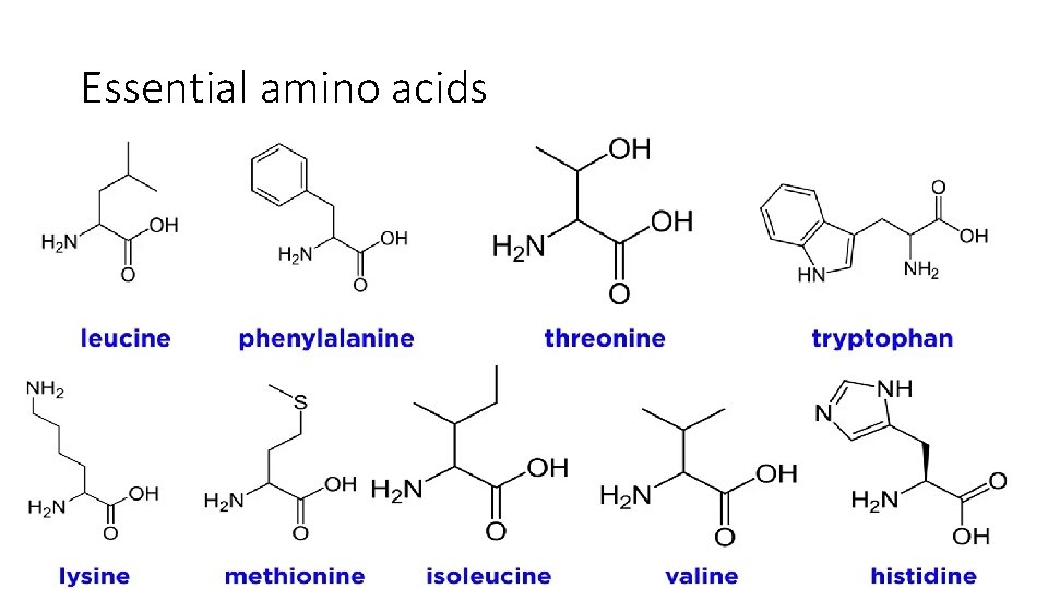 Essential amino acids 