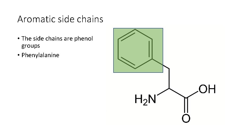 Aromatic side chains • The side chains are phenol groups • Phenylalanine 