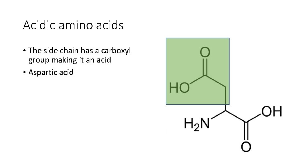 Acidic amino acids • The side chain has a carboxyl group making it an