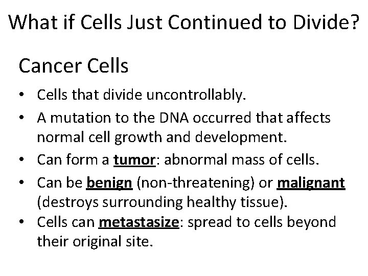 What if Cells Just Continued to Divide? Cancer Cells • Cells that divide uncontrollably.