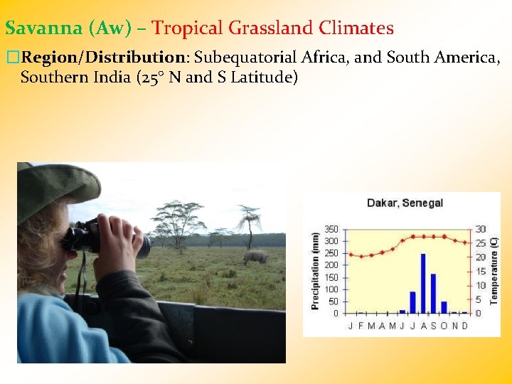 Savanna (Aw) – Tropical Grassland Climates �Region/Distribution: Subequatorial Africa, and South America, Southern India
