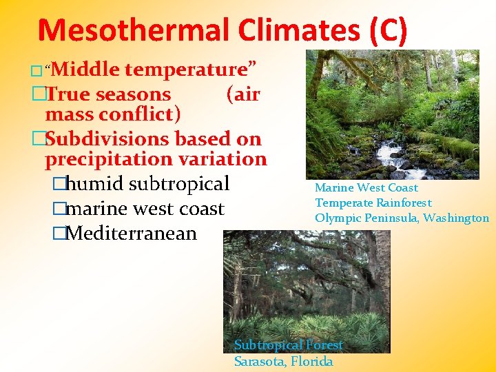 Mesothermal Climates (C) �“Middle temperature” �True seasons (air mass conflict) �Subdivisions based on precipitation