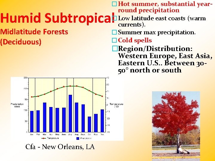 �Hot summer, substantial yearround precipitation �Low latitude east coasts (warm currents). �Summer max precipitation.