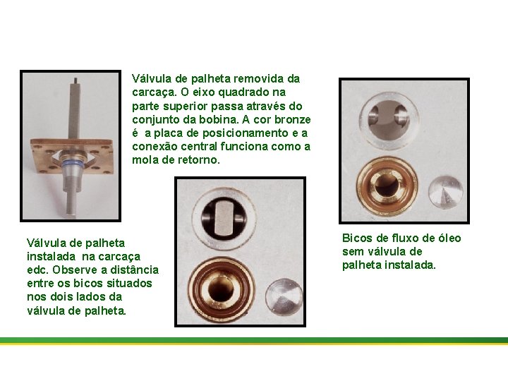 Válvula de palheta removida da carcaça. O eixo quadrado na parte superior passa através