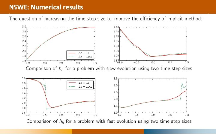 NSWE: Numerical results 