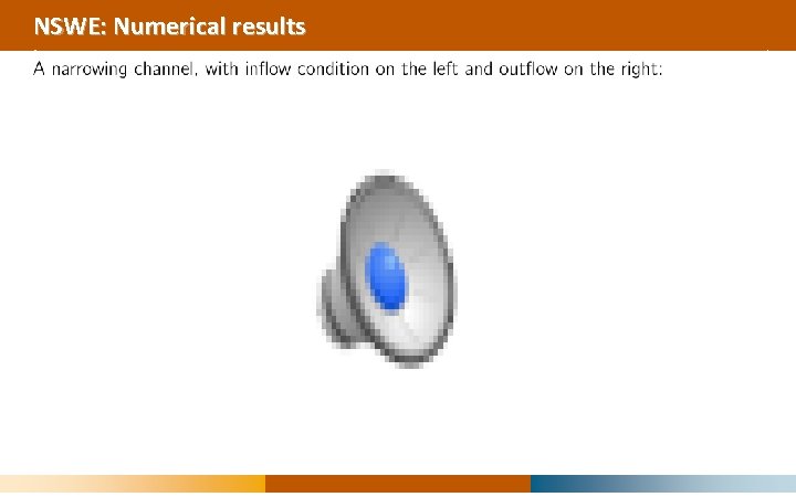 NSWE: Numerical results 